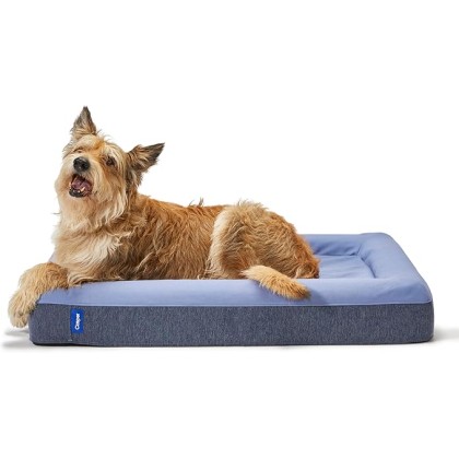 Dog Bed, Plush Memory Foam, Small, Blue