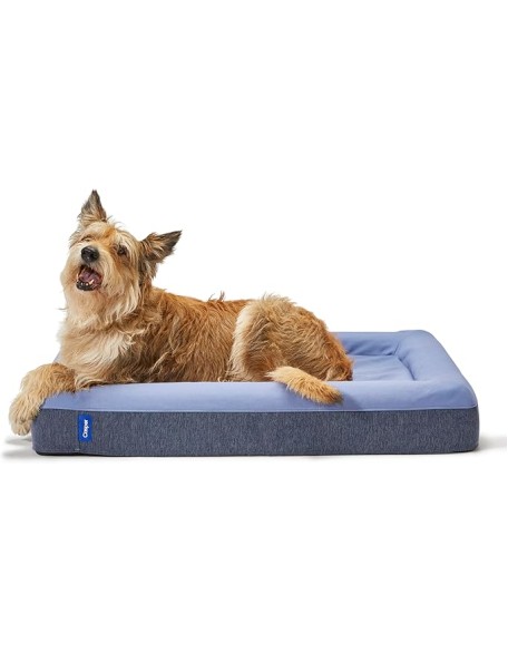 Dog Bed, Plush Memory Foam, Small, Blue