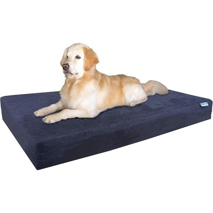 Jumbo Extra Large Gel Infused Memory Foam Dog Bed with Microsuede Cover and Waterproof Liner, 55X37X8 Inches, Espresso