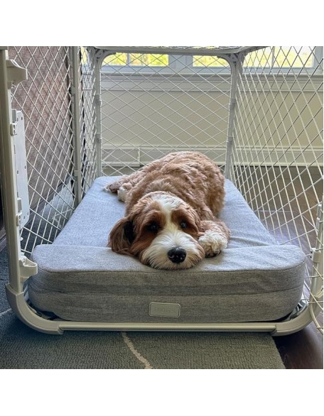 Bolstr Memory Foam Dog Bed with Headrest - Ideally Sized Evolv Dog Crate Pad - Premium Orthopedic Pet Bed for Crate or Home - X-Large