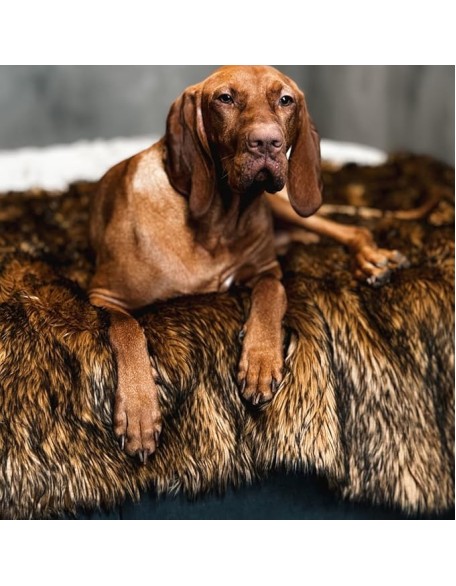 Faux Fur Pet Blanket - Waterproof Blankets for Dogs, Dog Cover for Couch, Throw for Sleeping, Whelping, and Comfort, Furniture Protection, Machine Washable, Brown 80" x 60"