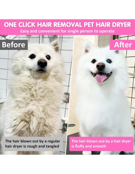 New pet Hair Dryer,Suitable for Blowing and Brushing Hair